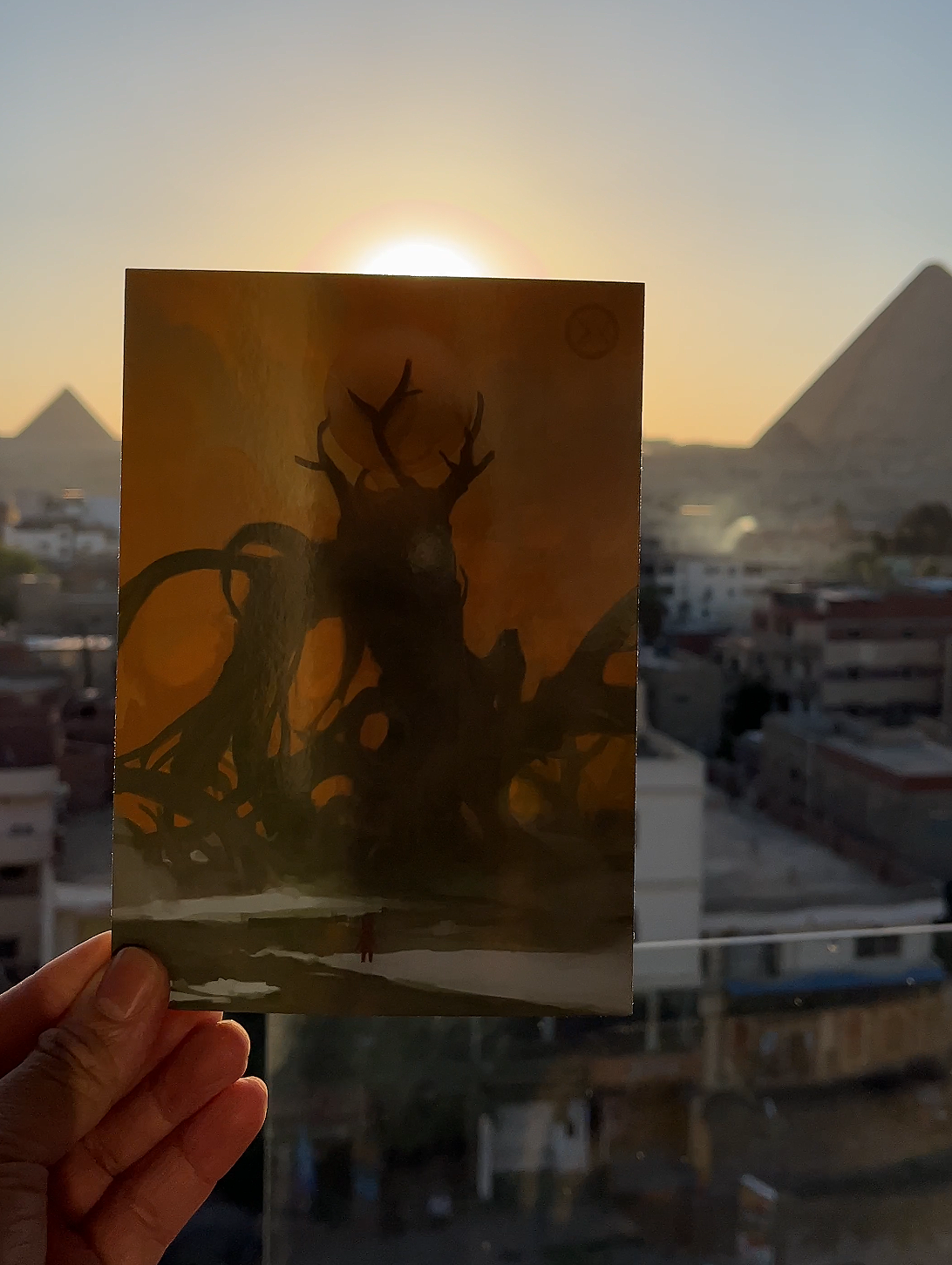 Postcard - Sun Vines